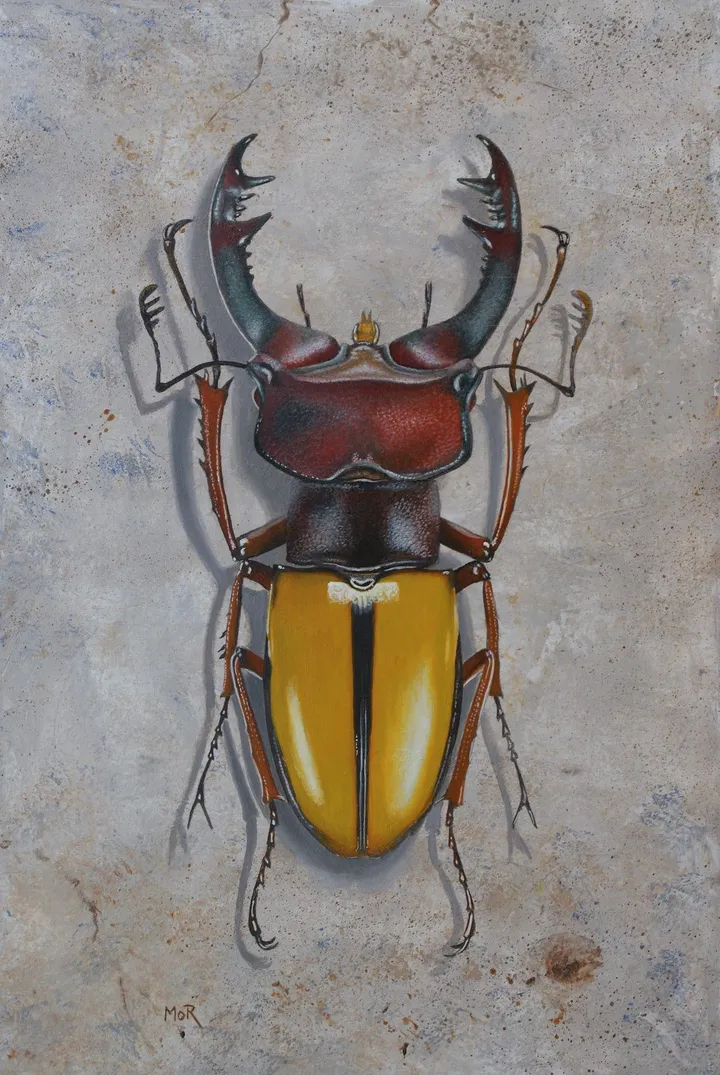 Lucanus Laetus, artwork by Dietrich Moravec
