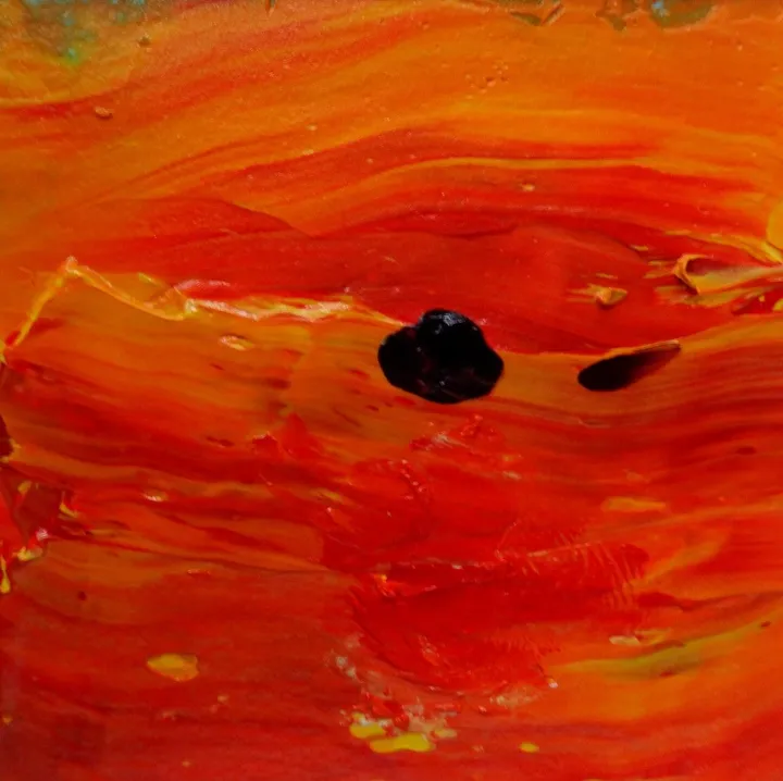 Red Planet #1, œuvre de fred wilson 3