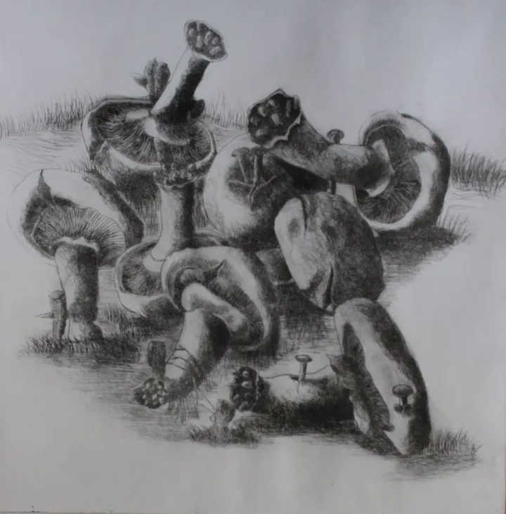 Deforestation, œuvre de Anas Abbas