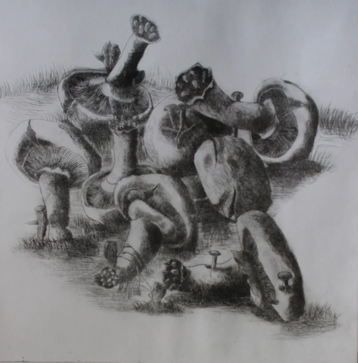 Deforestation, œuvre de Anas Abbas