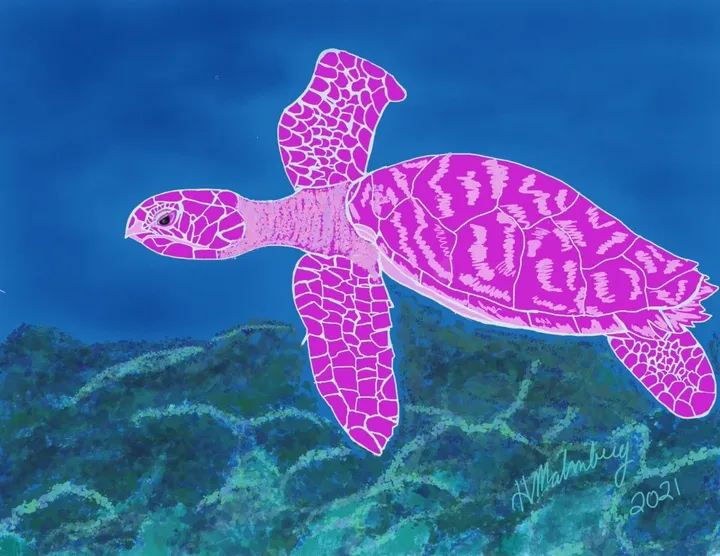Lavender Turtle, artwork by Pete Malmberg