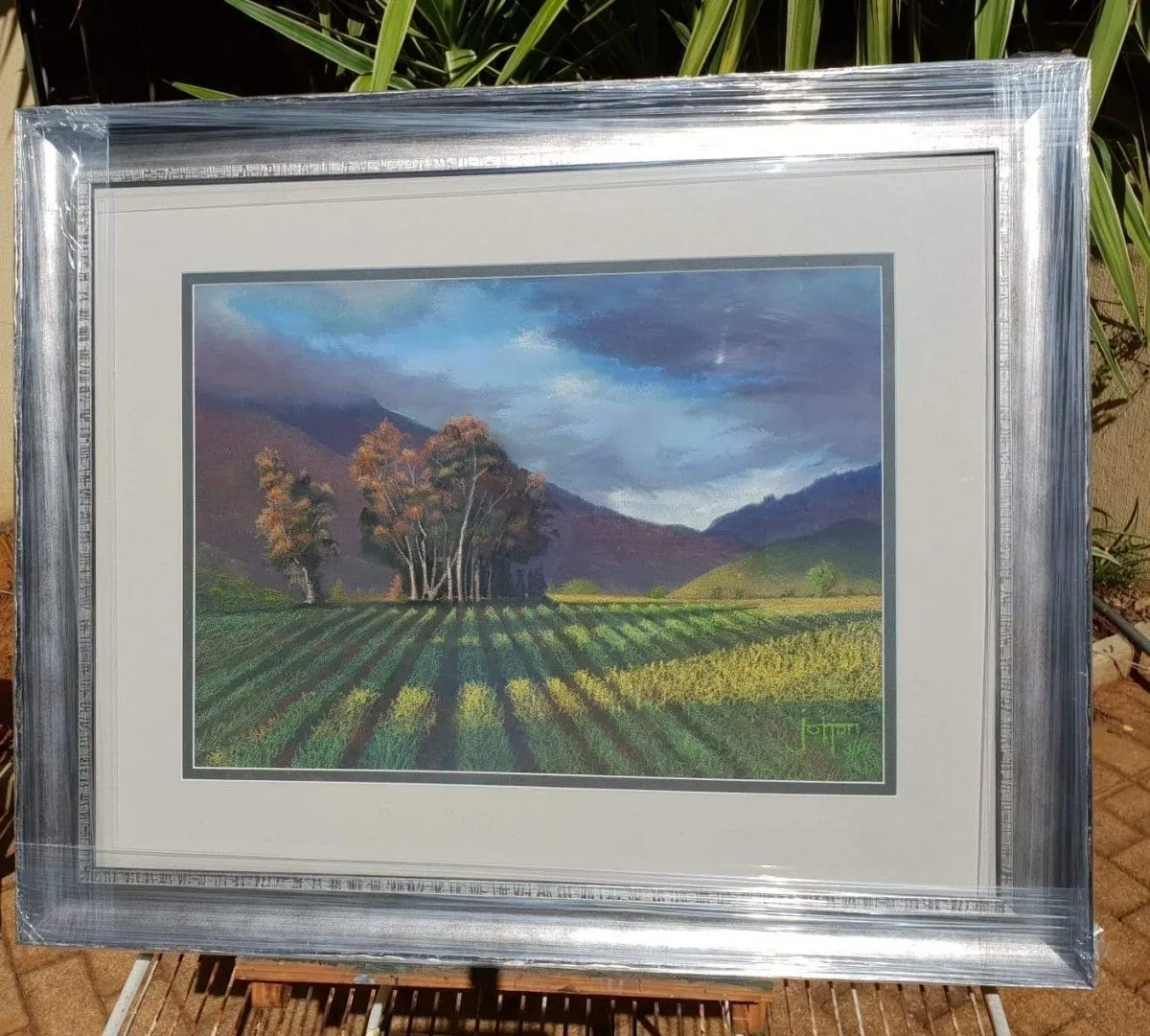 Canola splendour, œuvre de Johan Coetzer