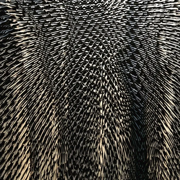 spines 3666, œuvre de Fausto Cantu