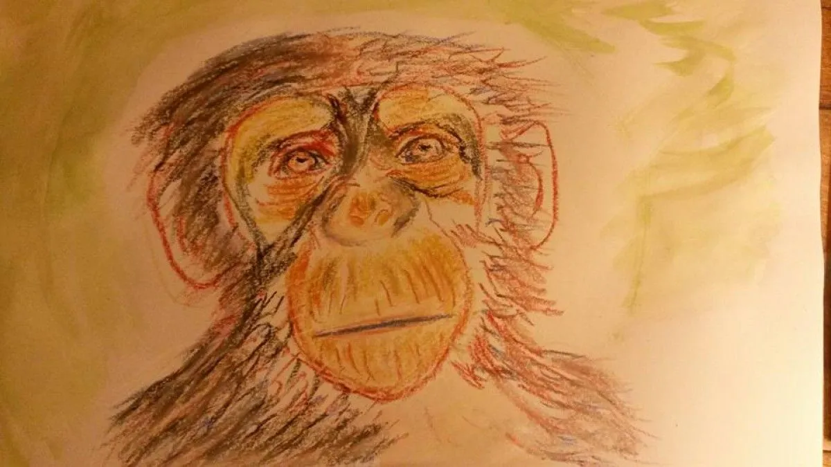 Monkey 3, œuvre de Fred Touraine