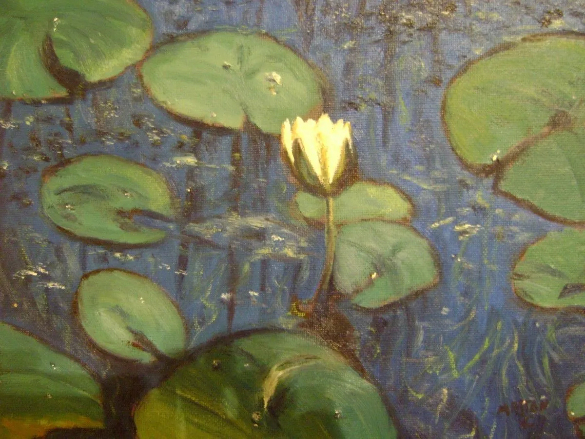 Nénuphar, artwork by Jean-Claude Matton