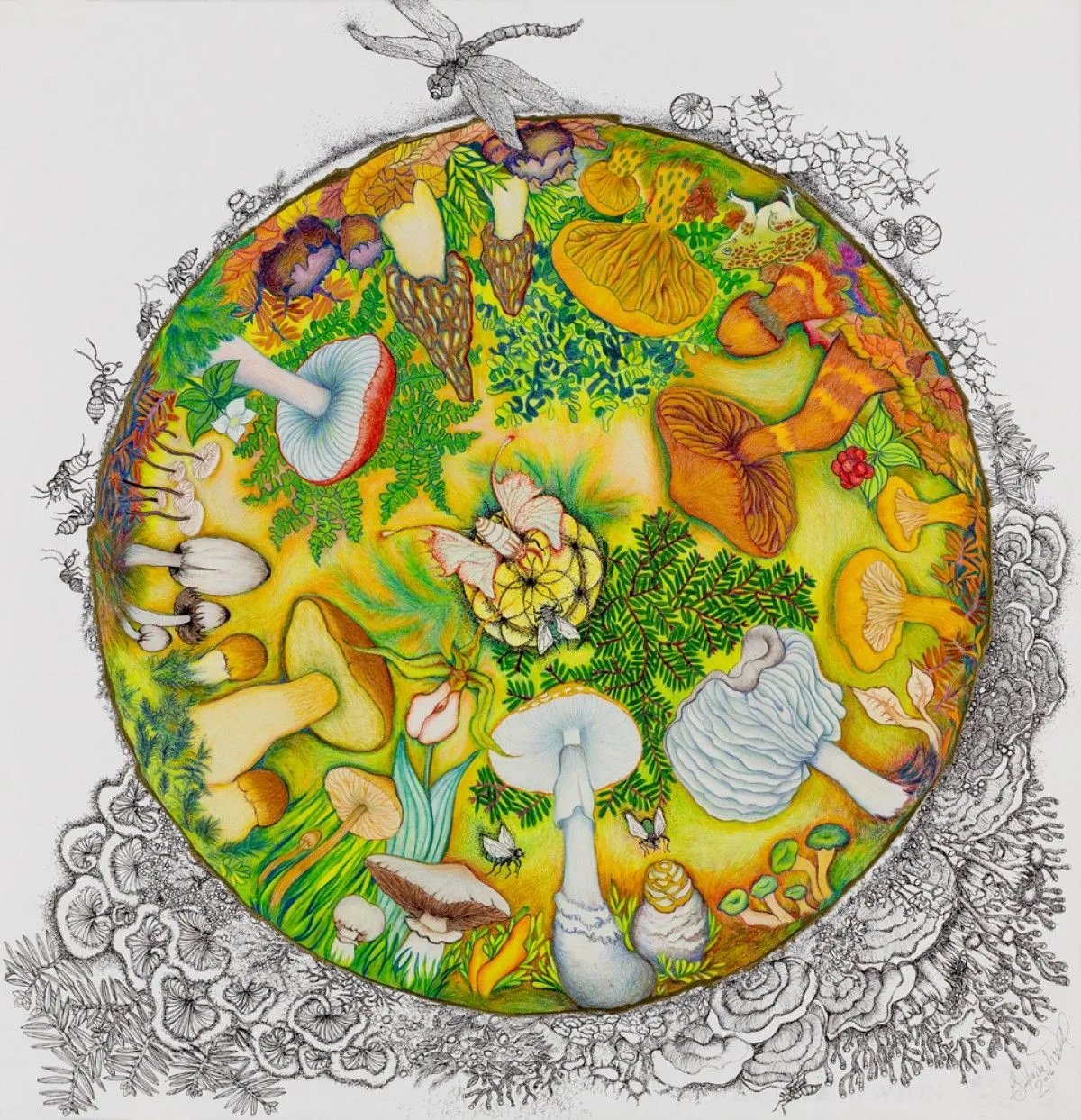 MANDALA de CHAMPIGNONS, artwork by Guylaine Duval