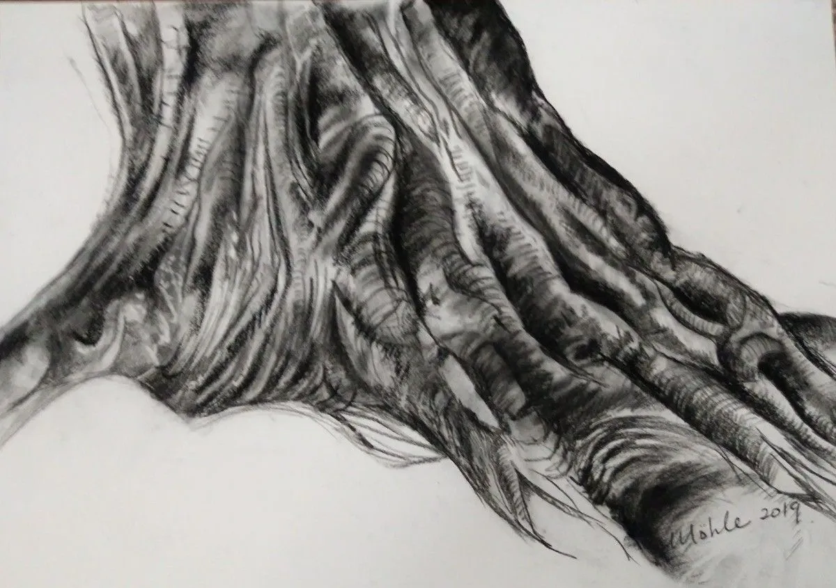 Tree study, œuvre de Michele Booysen
