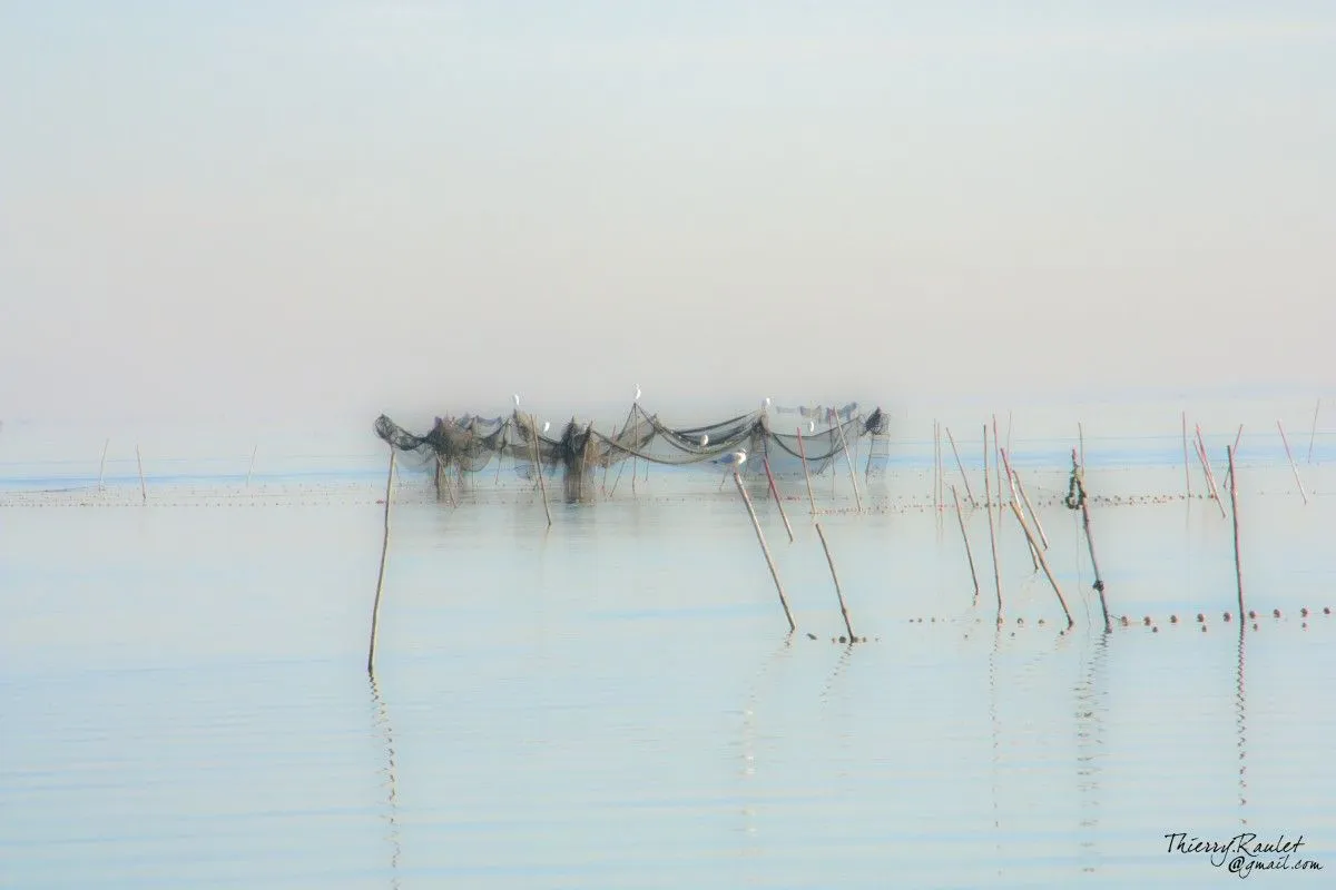 002 Etang de l'Or (Hérault France), artwork by Thierry Raulet