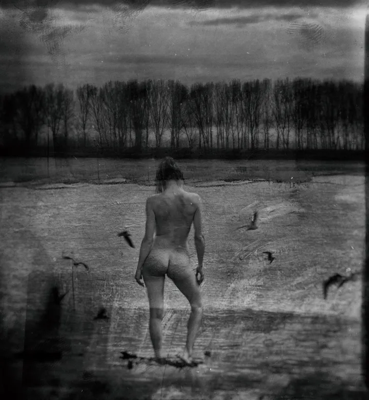 waterscape, artwork by Cornel Gingarasu