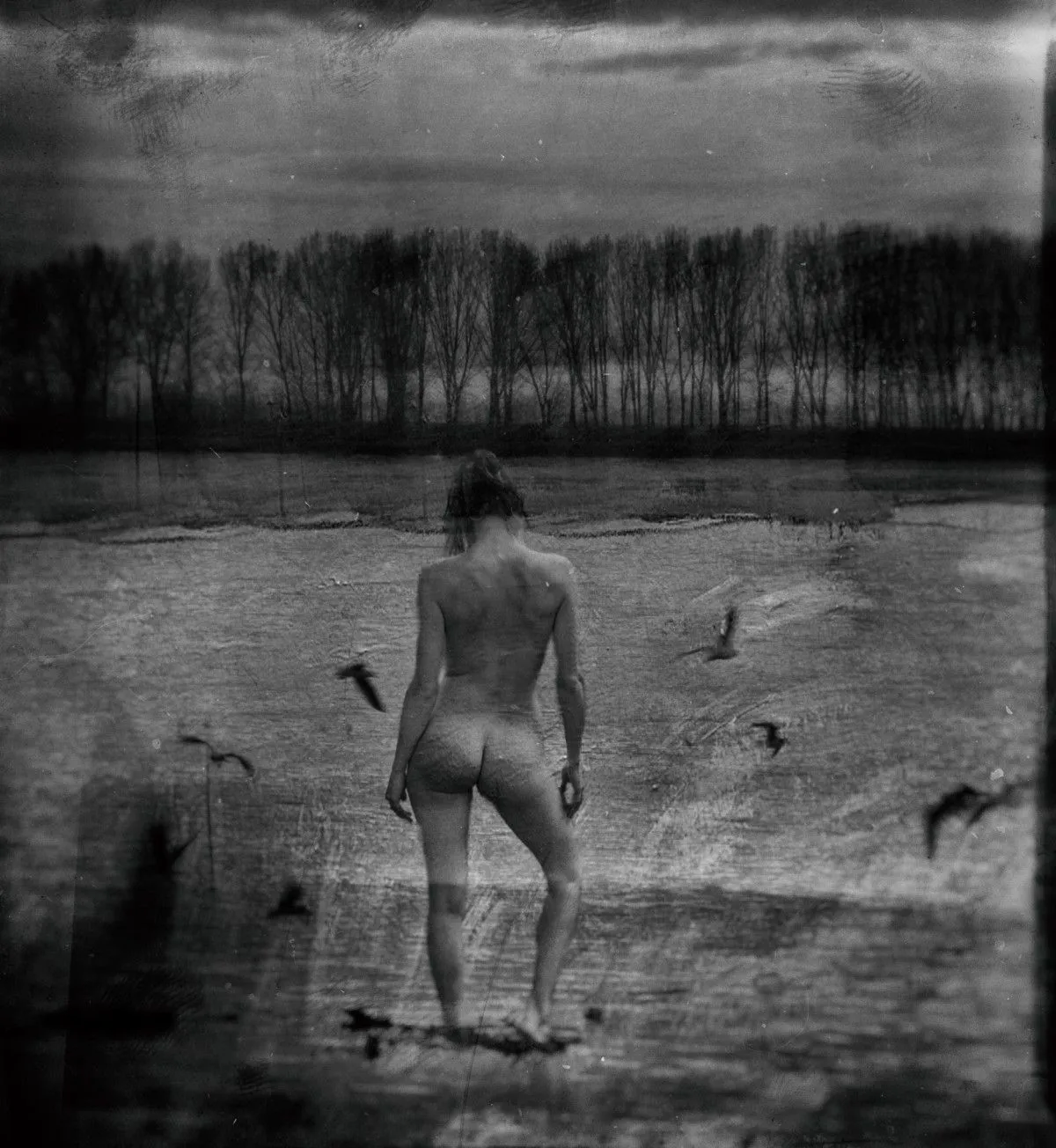waterscape, artwork by Cornel Gingarasu