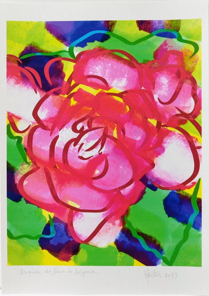 Esquisse de fleur de bégonia, œuvre de Alain HALTER