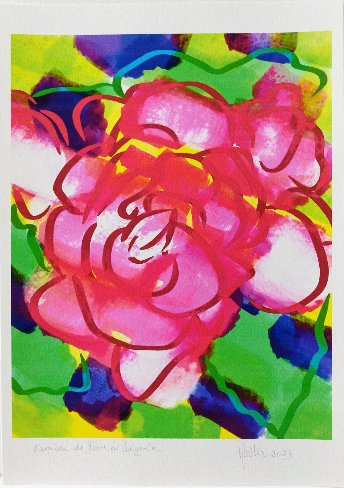 Esquisse de fleur de bégonia, œuvre de Alain HALTER