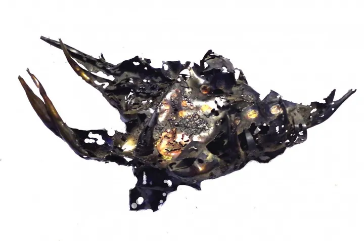 CLAW, œuvre de Ramses Alvarez