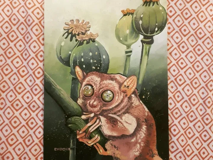 Pavot, artwork by Laurianne Choquette