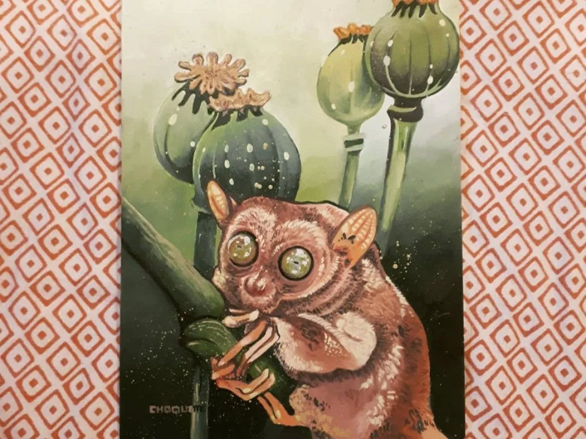Pavot, artwork by Laurianne Choquette