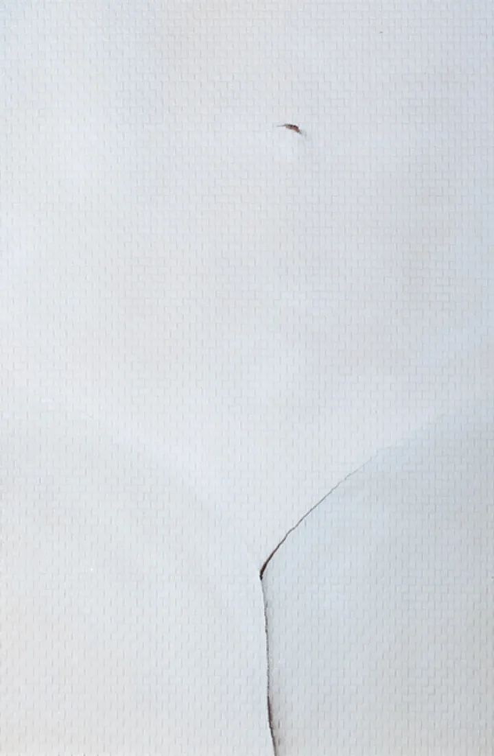 Picasso 1, artwork by martin rondeau