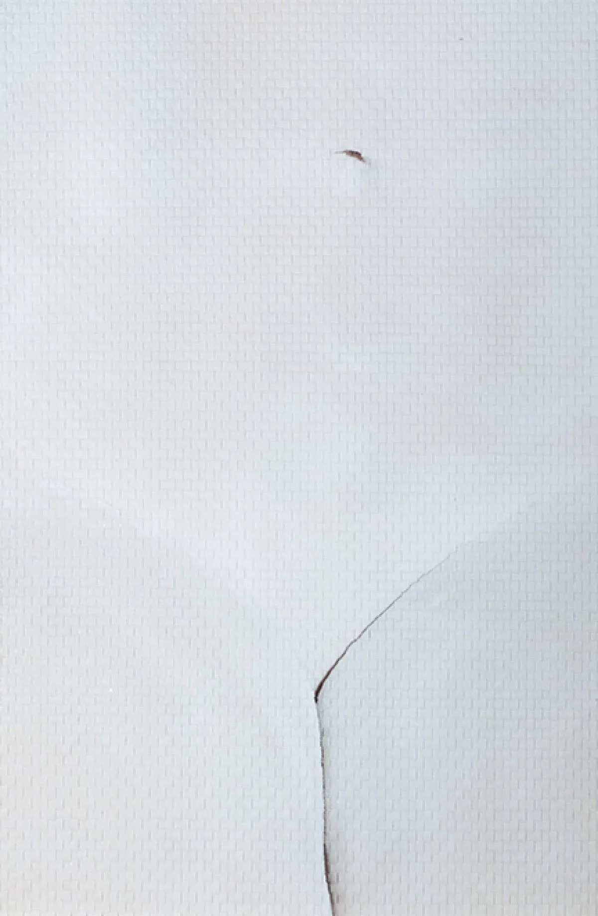 Picasso 1, œuvre de martin rondeau