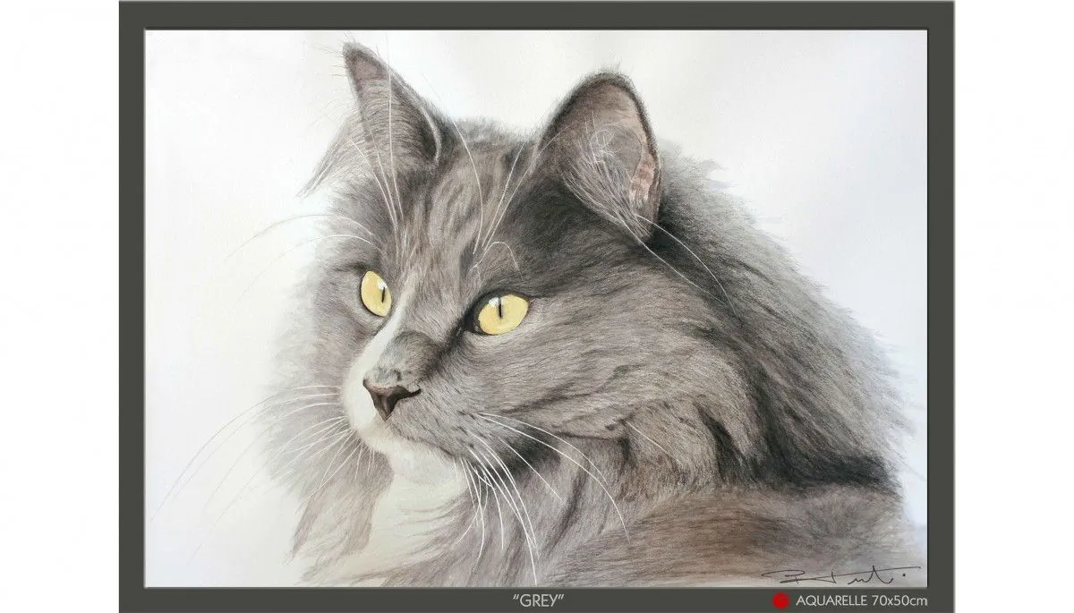 "CHAT GRIS", artwork by Pierre Frutschi