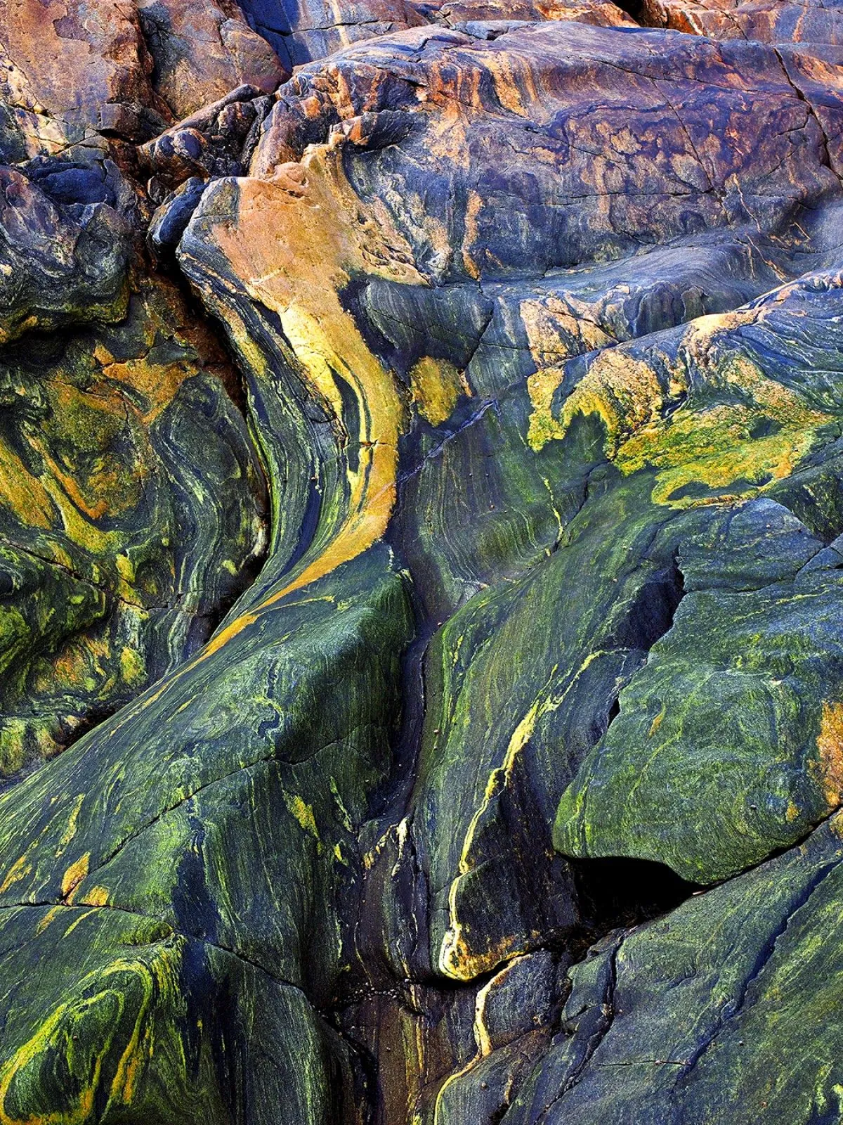 DOCILITÉ II, œuvre de Edouard Mosseau