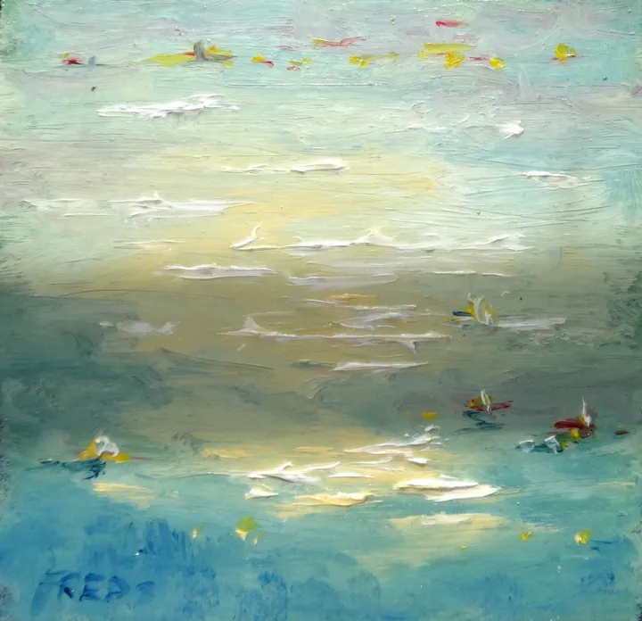 Water lilies in Sun, œuvre de fred wilson 3