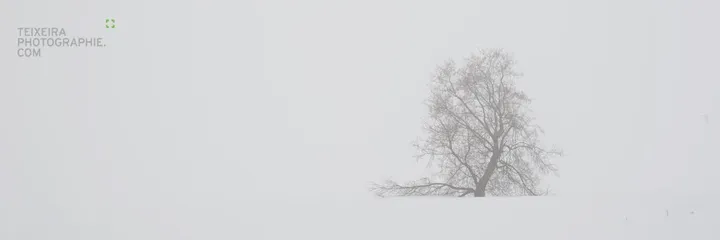 ALONE, artwork by GUY TEIXEIRA