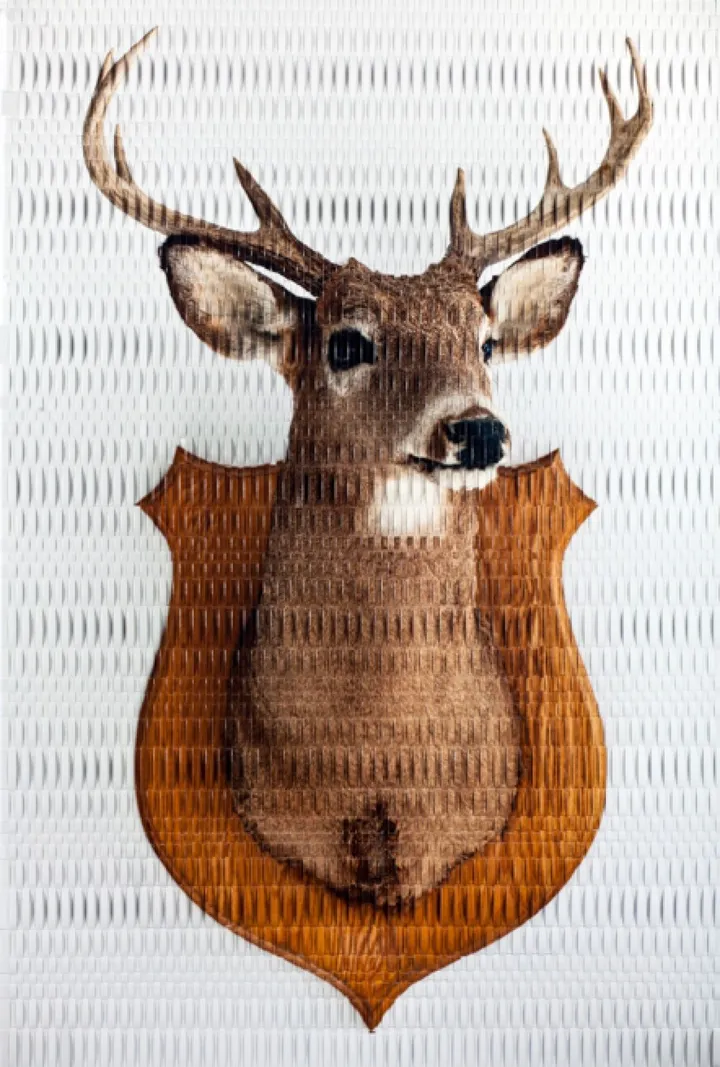 No More, œuvre de martin rondeau