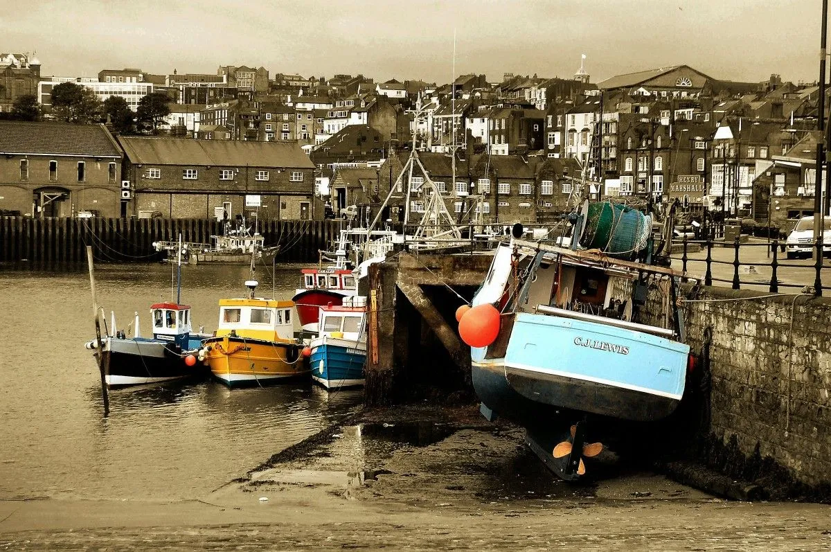 sail away from safe harbour, artwork by Graham Rhodes