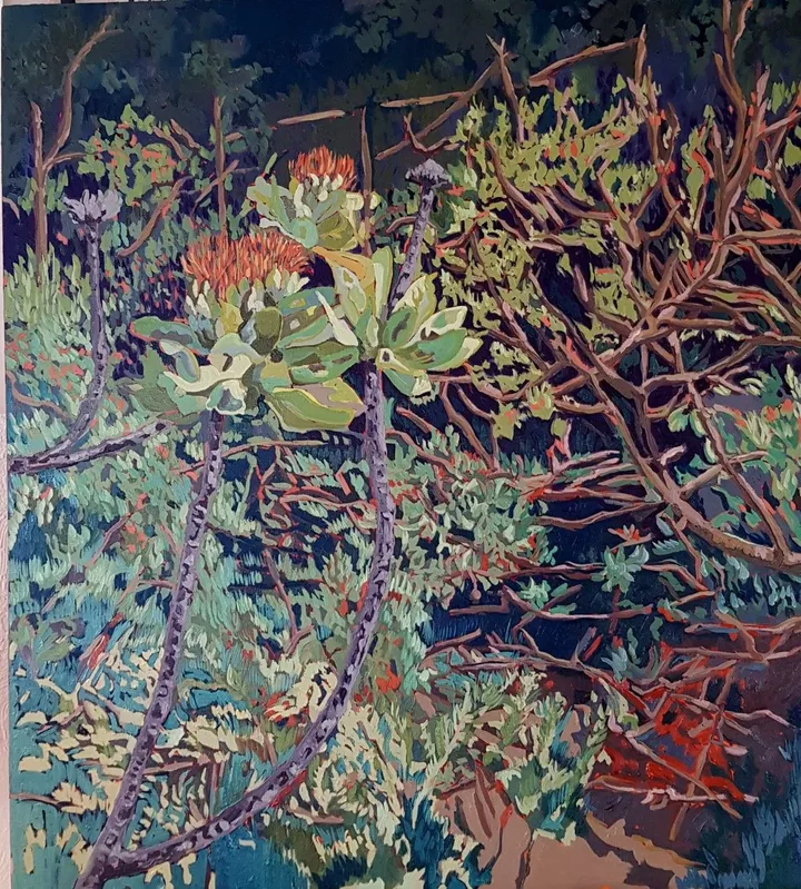 On the High Place (Fynbos plants on Table Mountain), œuvre de Hermien Van der Merwe
