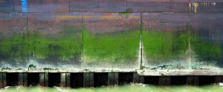 ORIGINE II, artwork by Edouard Mosseau
