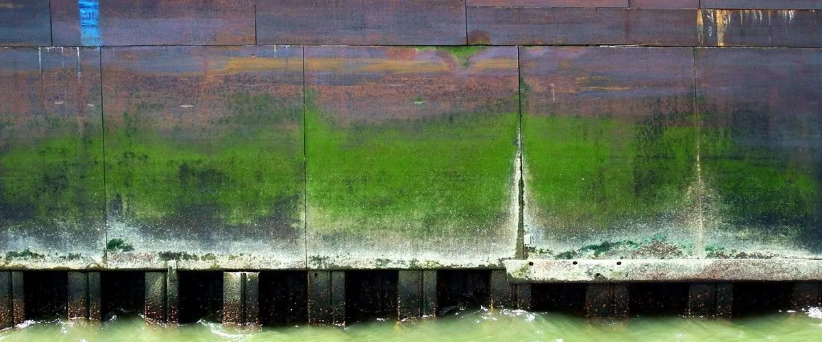 ORIGINE II, artwork by Edouard Mosseau