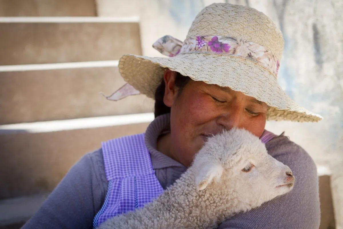 My only Lamb, œuvre de Josue A. Peña