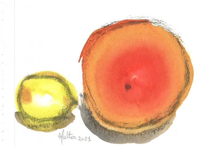 Orange et citron, œuvre de Alain HALTER