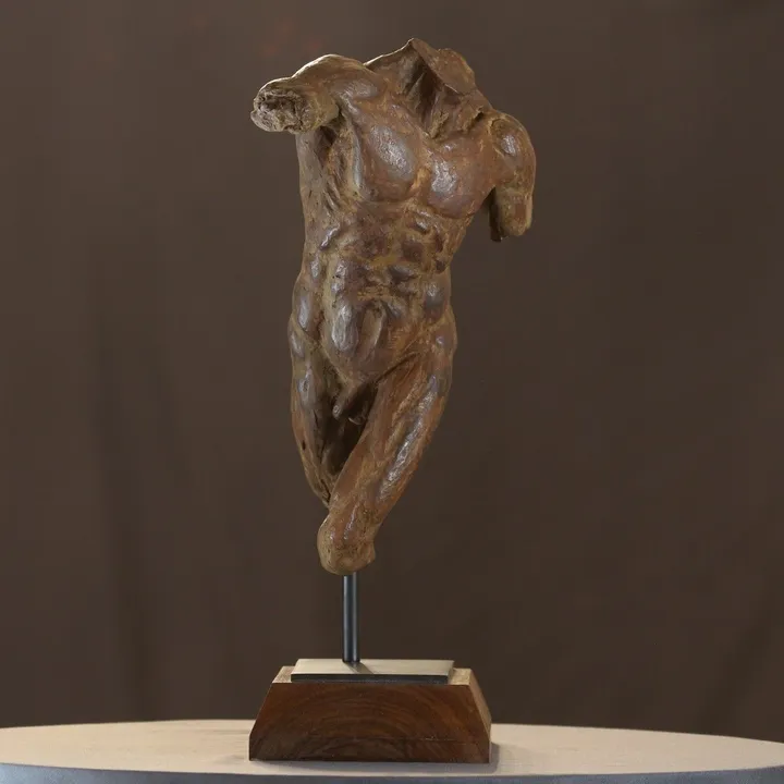 Liberation, œuvre de Willem Botha