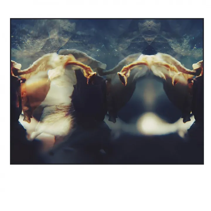La.nebuleuse.de l' Orchidée, artwork by Véronique Mathian