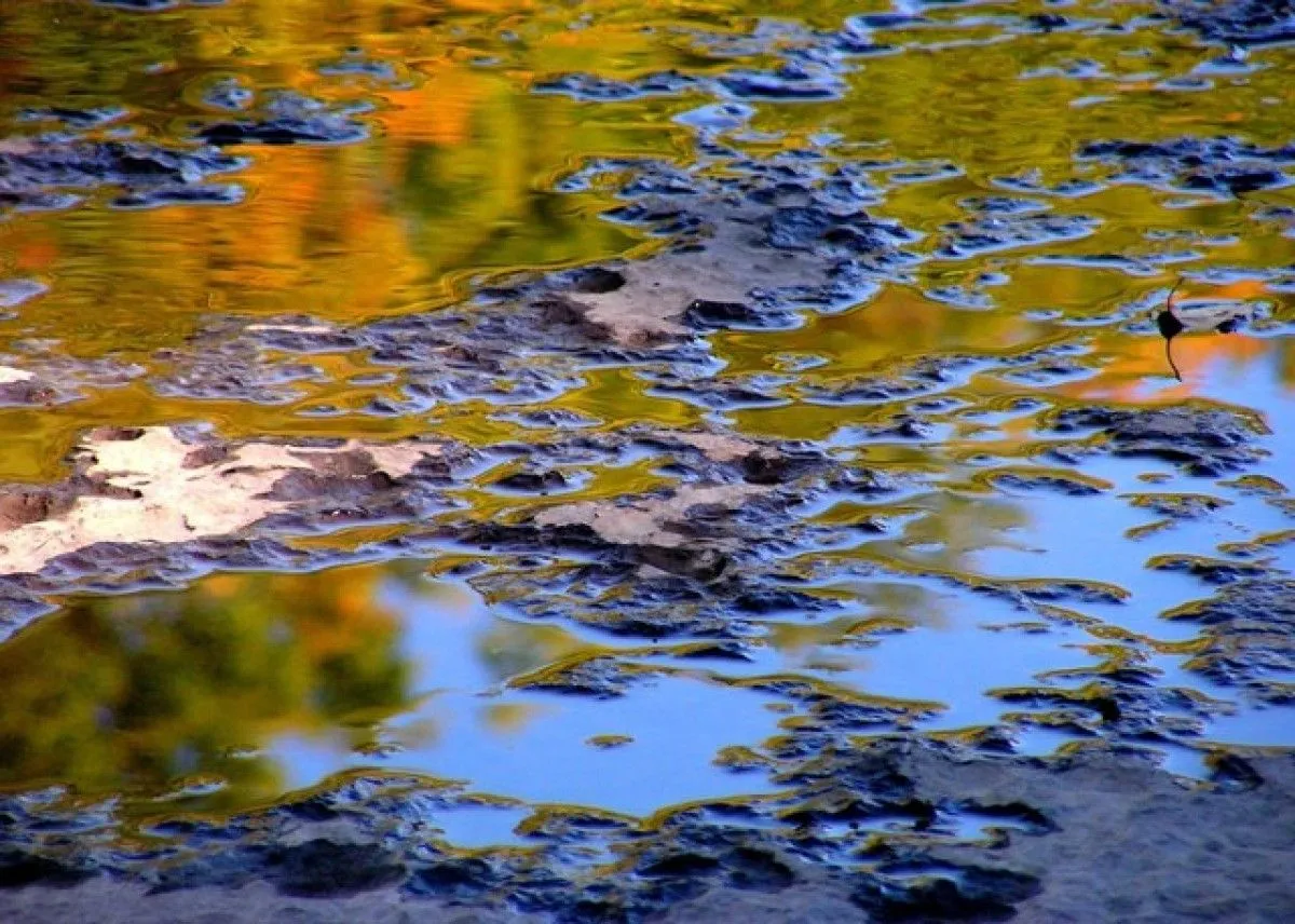 PERCEPTION D'AUTOMNE I, œuvre de Edouard Mosseau