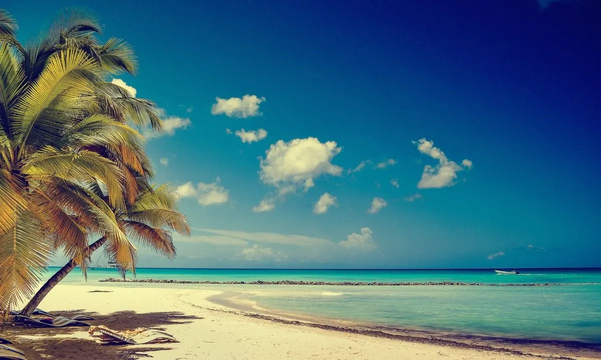 Caribbean, œuvre de luiz padovan
