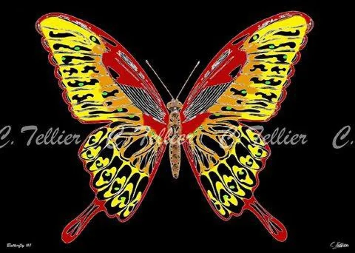Butterfly #1, œuvre de Tellier Christophe