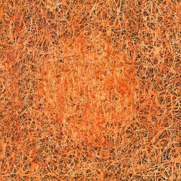 November, œuvre de Ali AlEzzi