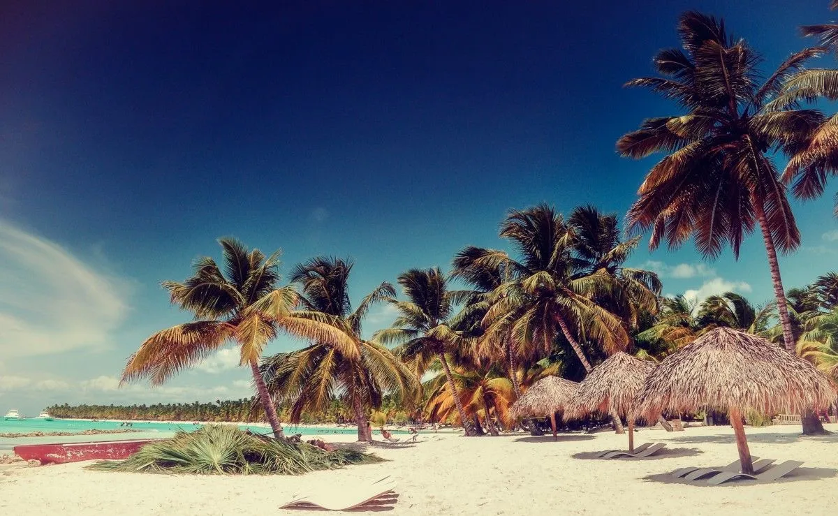 Dream Vacations, artwork by luiz padovan