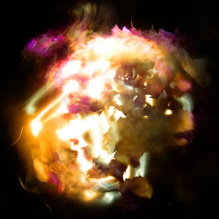 Autour d'un bouquet V, œuvre de Christophe Noirot