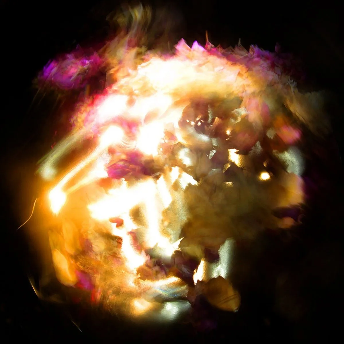 Autour d'un bouquet V, artwork by Christophe Noirot