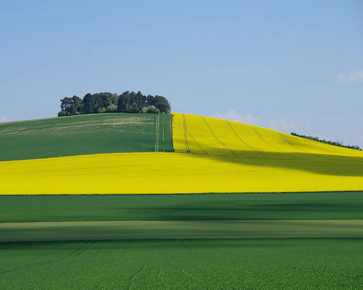 Gros Mont, artwork by Luc Fasquel