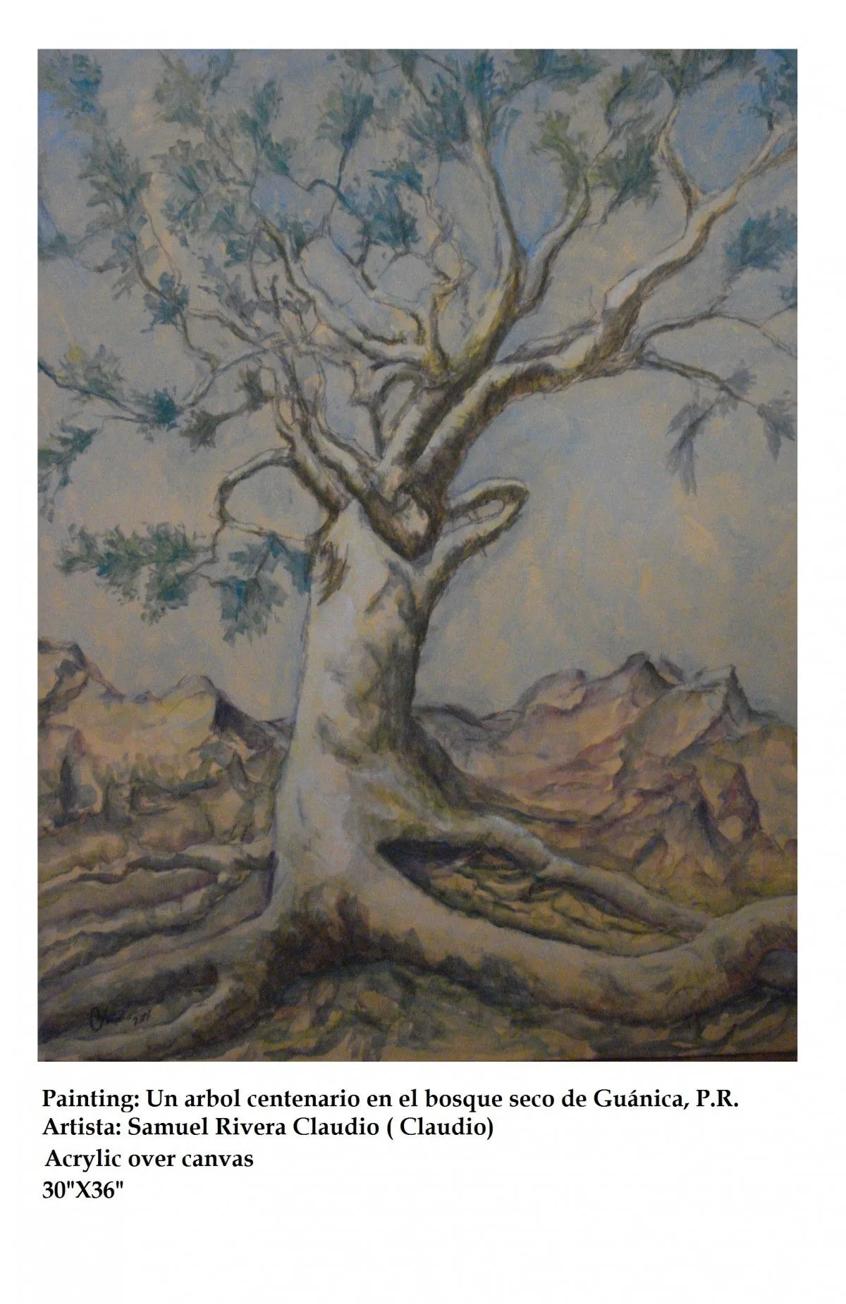 Centenary tree, œuvre de Samuel Rivera