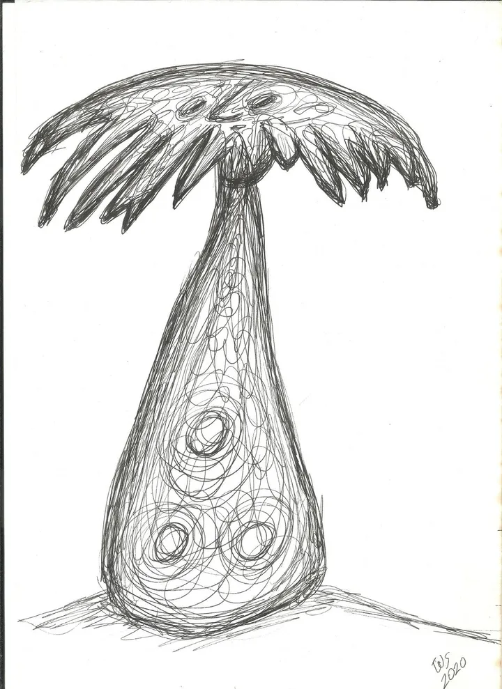 mushroom man, œuvre de wilson SASSO
