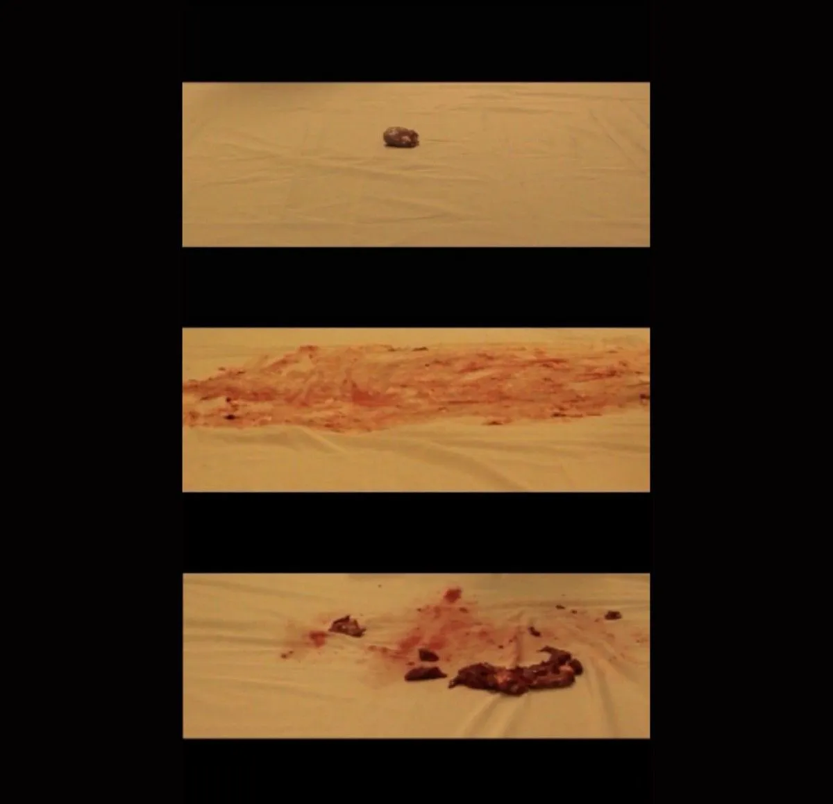 MEDITATIO MORTIS / ARS MORIENDI (Video), œuvre de Adriana Sáenz Tapia