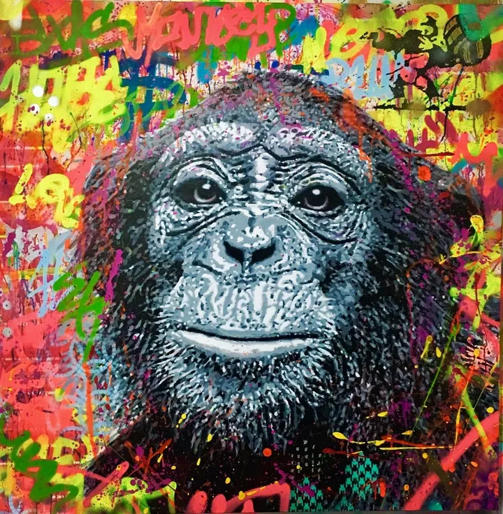 MONKEY, œuvre de fred Trudel