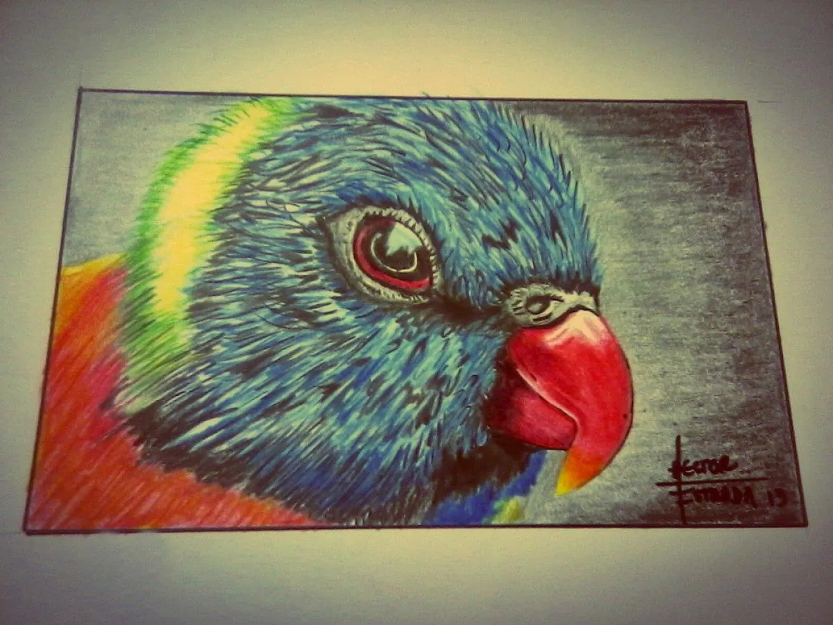 "the parakeet", artwork by Hector Estrada Olvera