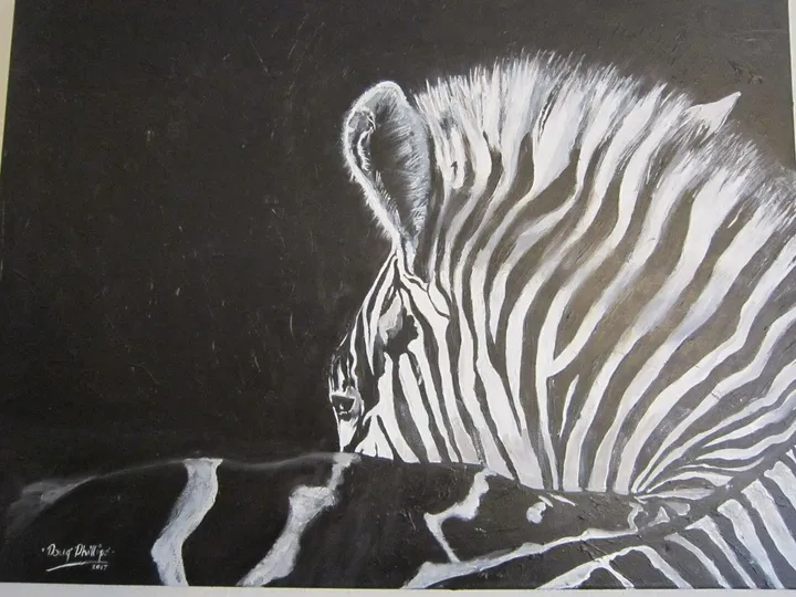 zebra looking left, œuvre de doug phillips