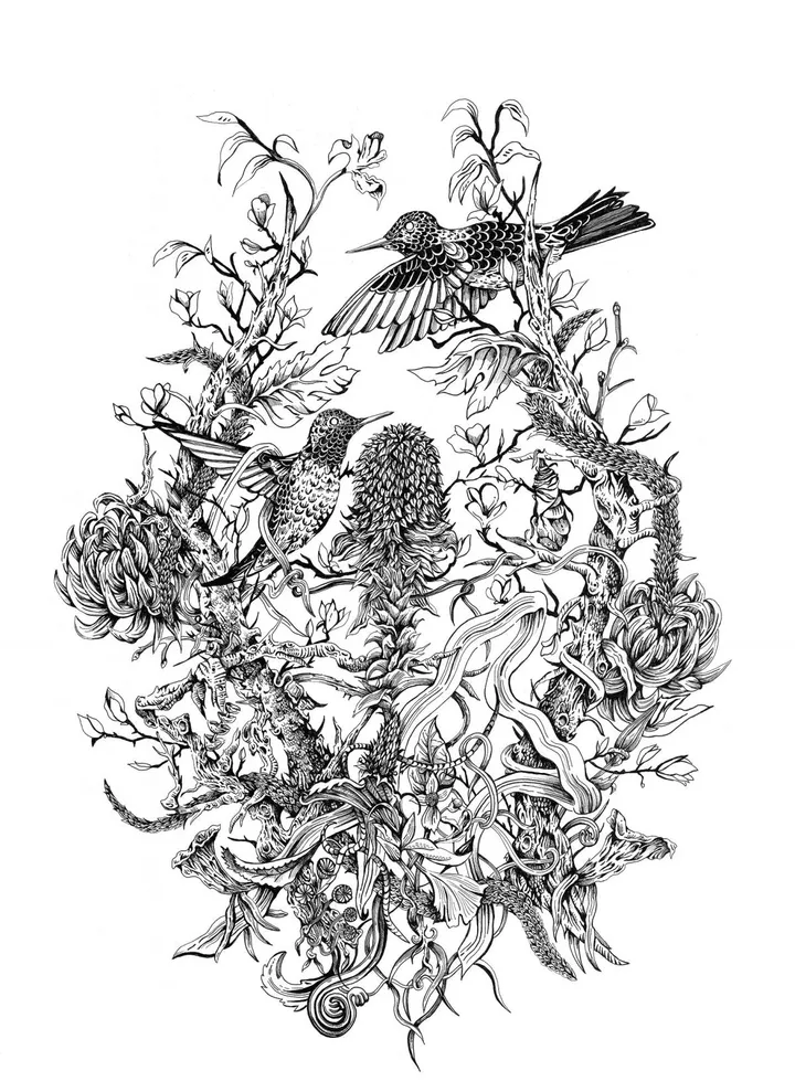 Hummingbirds, œuvre de kate burgau