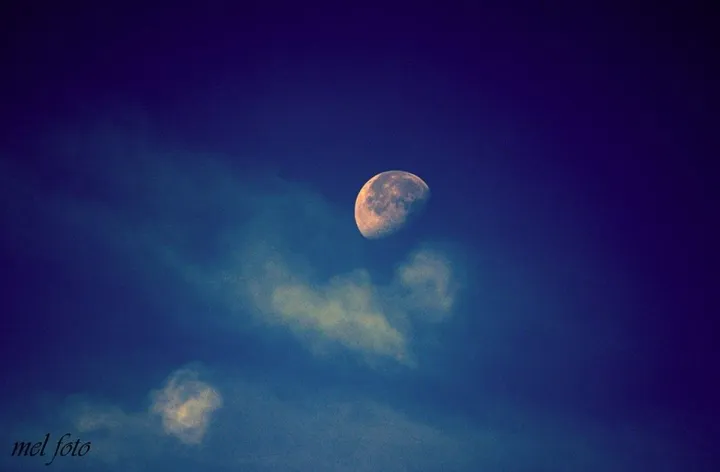 lune, artwork by Peinture Melanie
